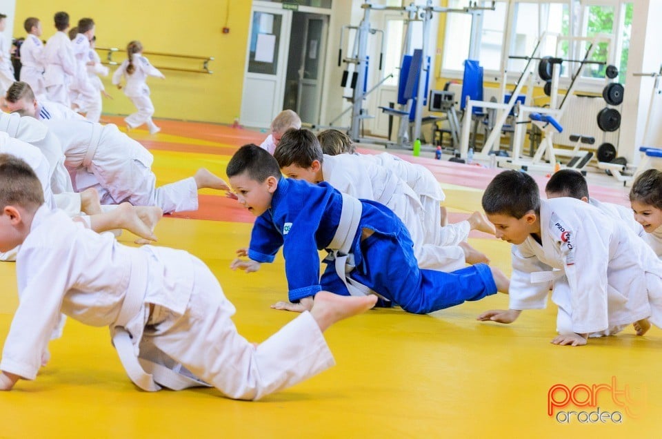 Micii judoka la Examen de Mon, Liceul cu Program Sportiv