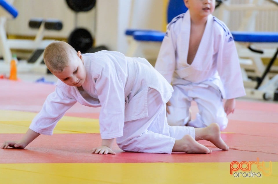 Micii judoka la Examen de Mon, Liceul cu Program Sportiv