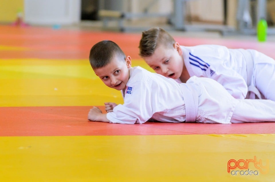 Micii judoka la Examen de Mon, Liceul cu Program Sportiv