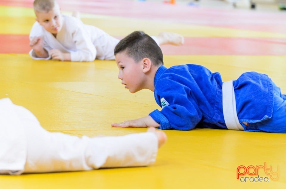 Micii judoka la Examen de Mon, Liceul cu Program Sportiv