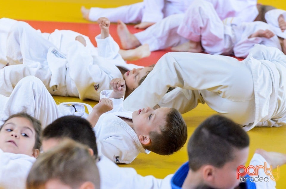 Micii judoka la Examen de Mon, Liceul cu Program Sportiv