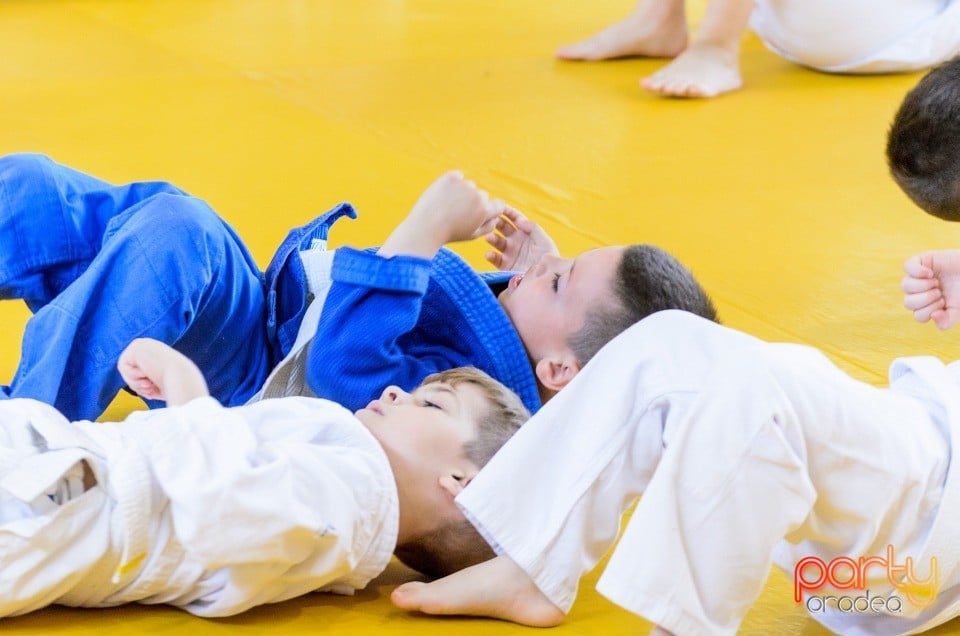 Micii judoka la Examen de Mon, Liceul cu Program Sportiv