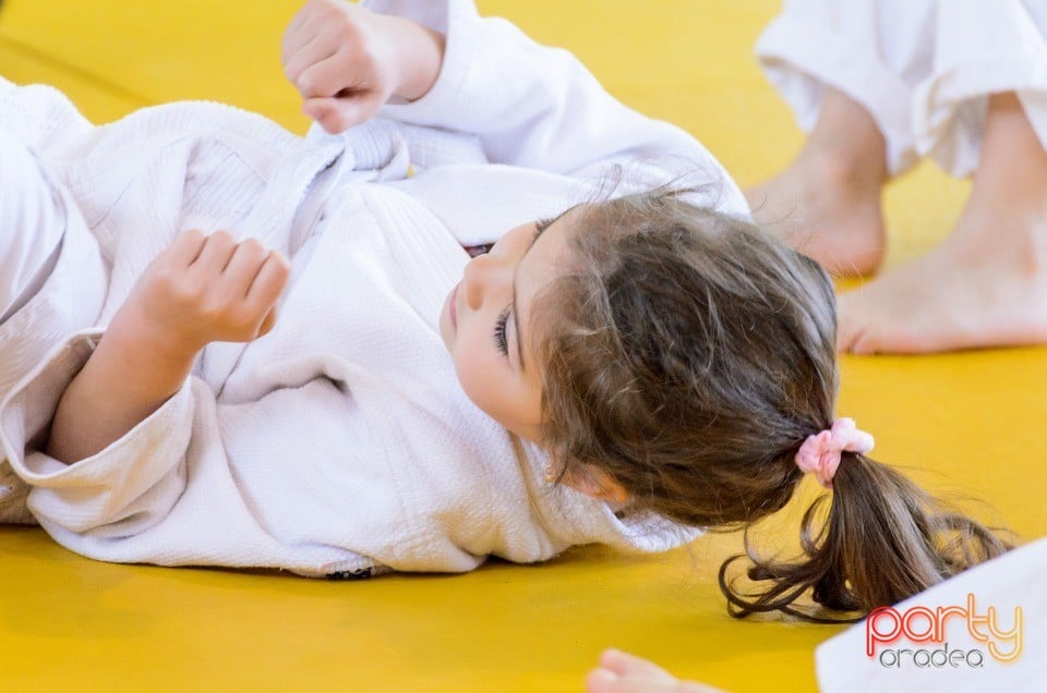 Micii judoka la Examen de Mon, Liceul cu Program Sportiv