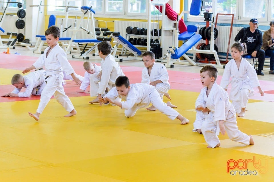 Micii judoka la Examen de Mon, Liceul cu Program Sportiv