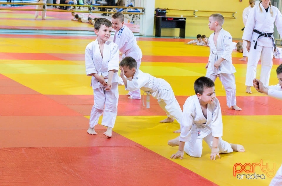 Micii judoka la Examen de Mon, Liceul cu Program Sportiv