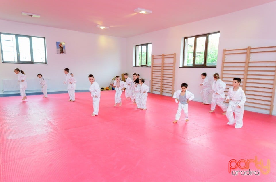 Micii judoka la Examen de Mon,