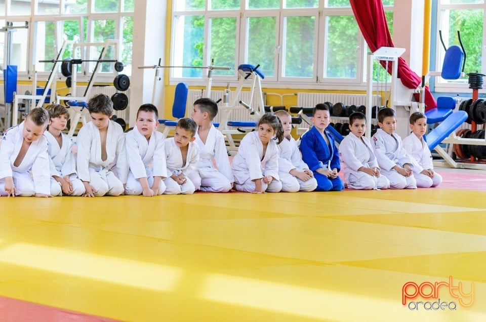 Micii judoka la Examen de Mon, Liceul cu Program Sportiv