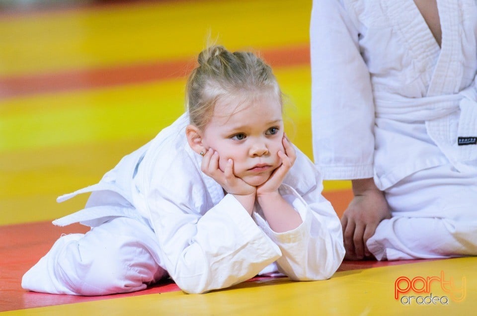 Micii judoka la Examen de Mon, Liceul cu Program Sportiv