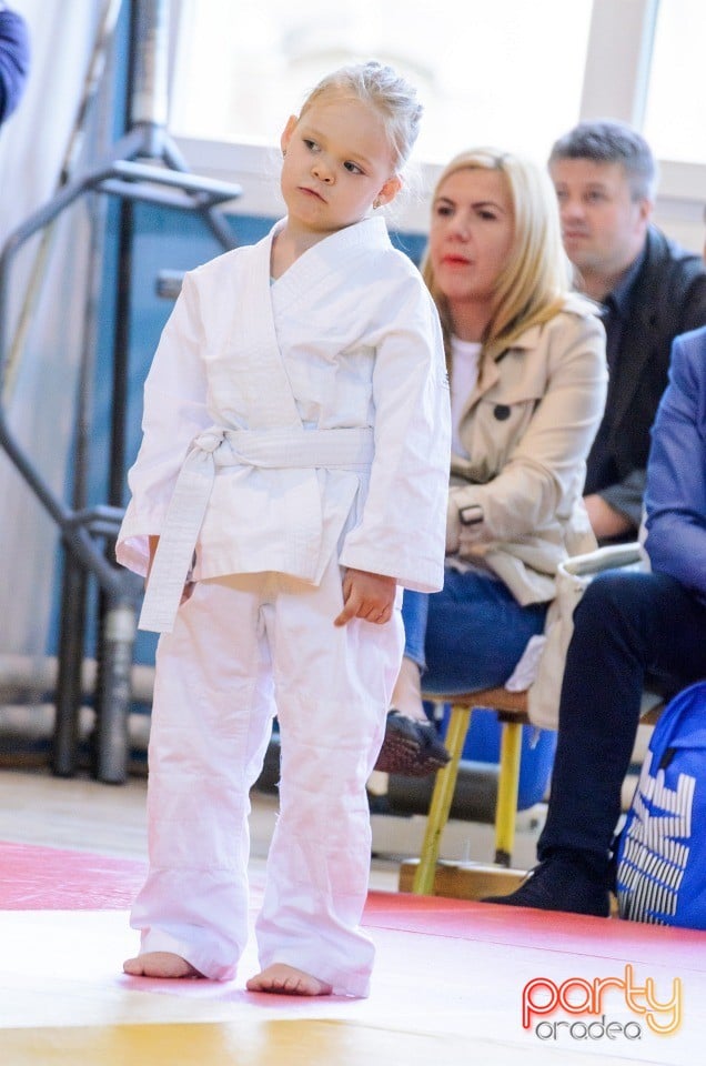 Micii judoka la Examen de Mon, Liceul cu Program Sportiv