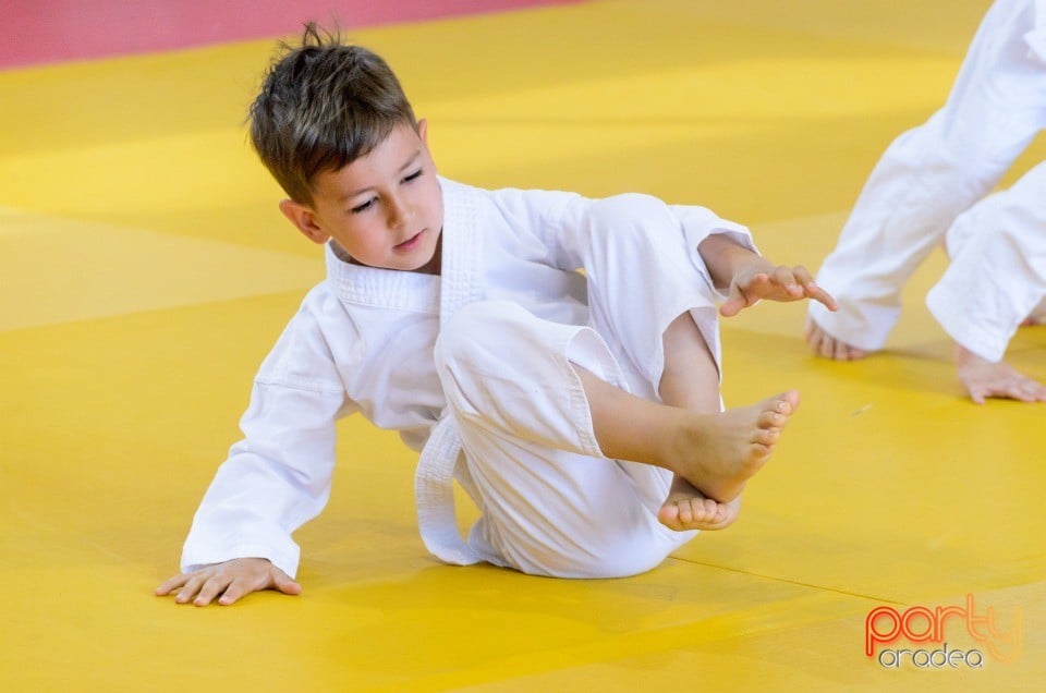 Micii judoka la Examen de Mon, Liceul cu Program Sportiv