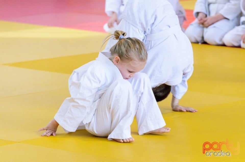 Micii judoka la Examen de Mon, Liceul cu Program Sportiv