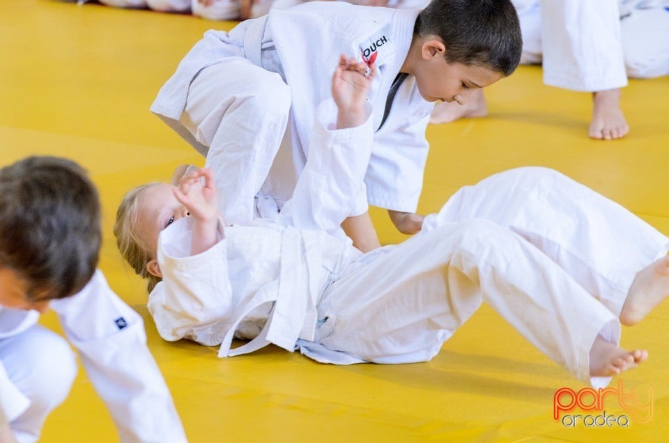 Micii judoka la Examen de Mon, Liceul cu Program Sportiv