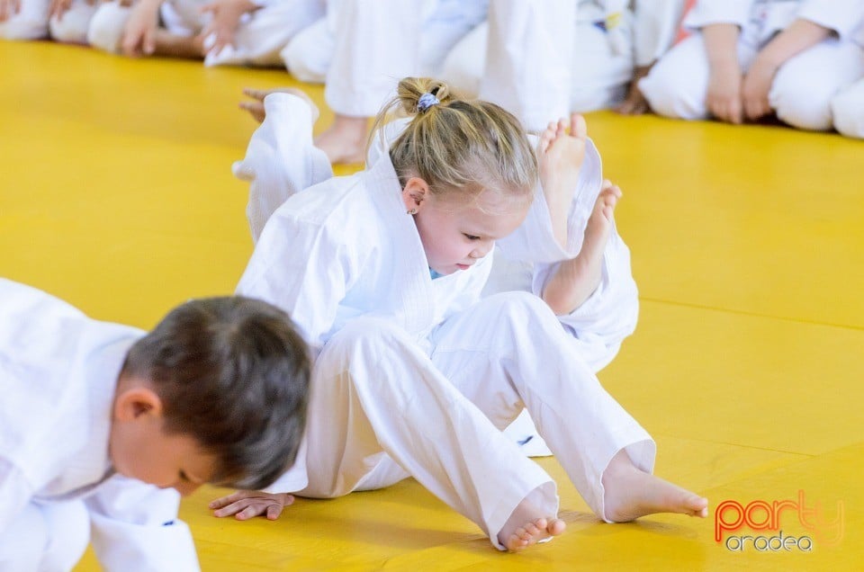 Micii judoka la Examen de Mon, Liceul cu Program Sportiv