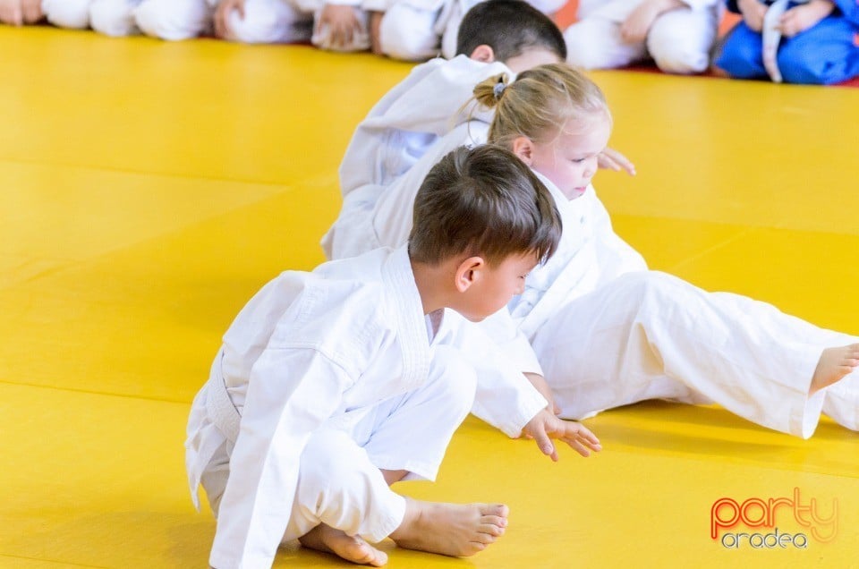 Micii judoka la Examen de Mon, Liceul cu Program Sportiv