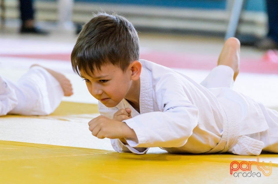 Micii judoka la Examen de Mon, Liceul cu Program Sportiv