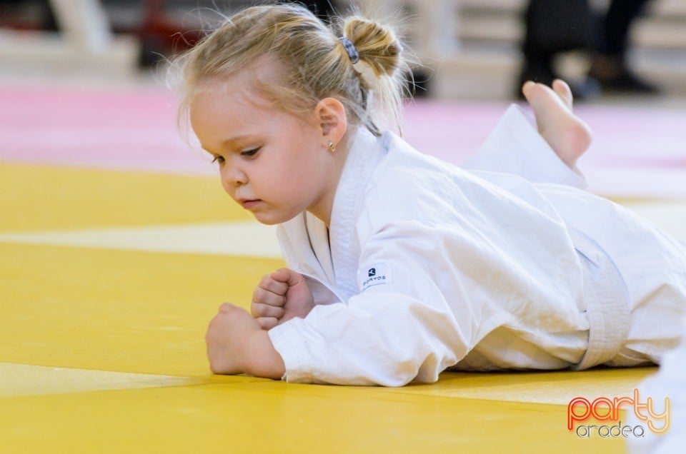 Micii judoka la Examen de Mon, Liceul cu Program Sportiv