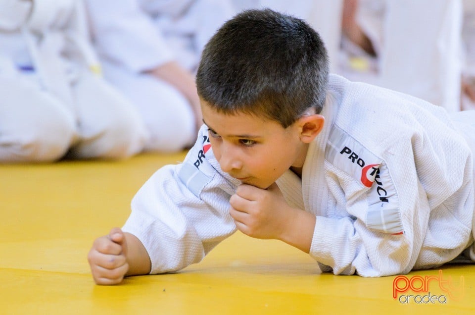 Micii judoka la Examen de Mon, Liceul cu Program Sportiv