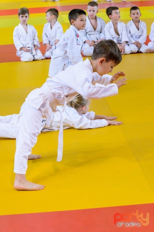 Micii judoka la Examen de Mon, Liceul cu Program Sportiv