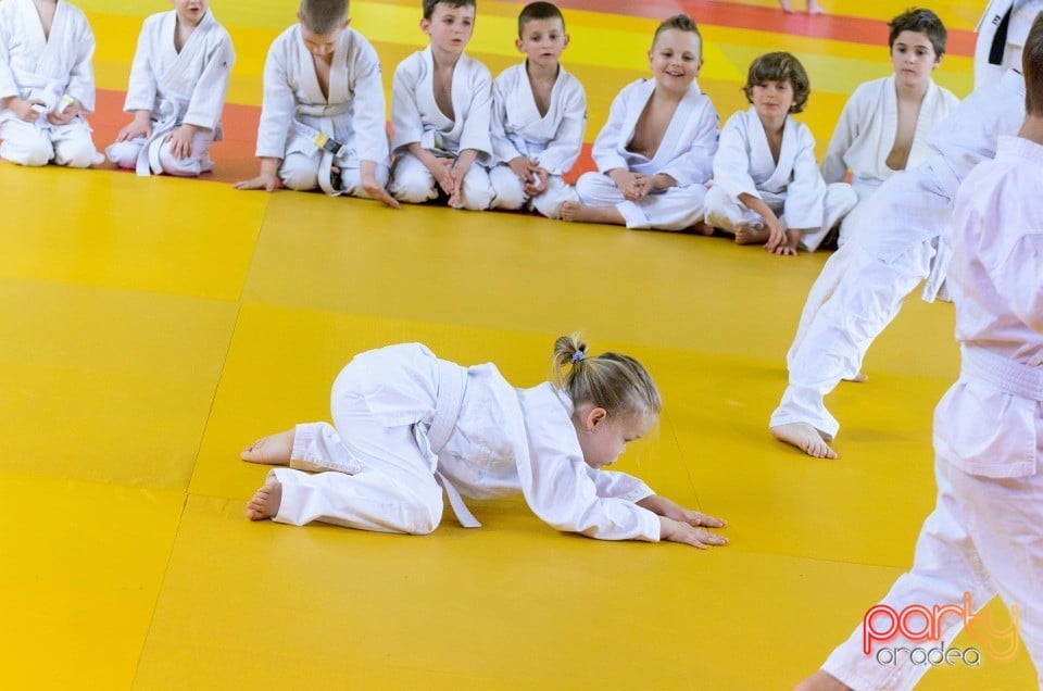 Micii judoka la Examen de Mon, Liceul cu Program Sportiv