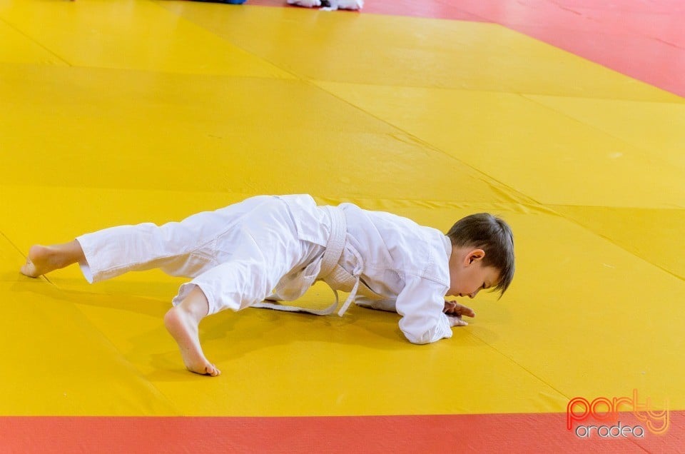 Micii judoka la Examen de Mon, Liceul cu Program Sportiv