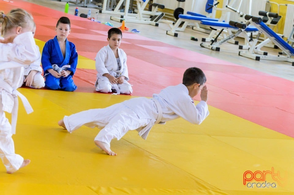 Micii judoka la Examen de Mon, Liceul cu Program Sportiv