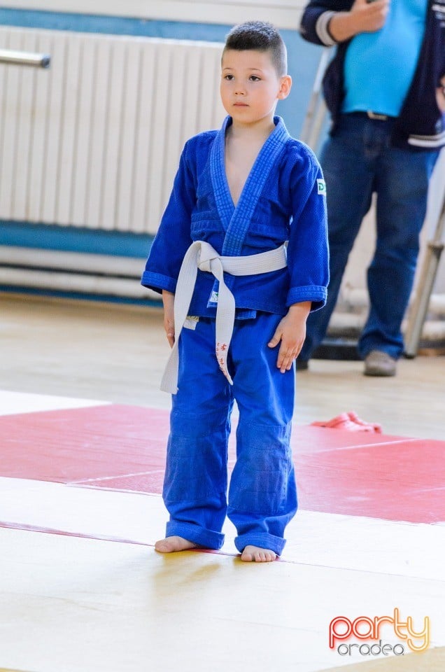 Micii judoka la Examen de Mon, Liceul cu Program Sportiv