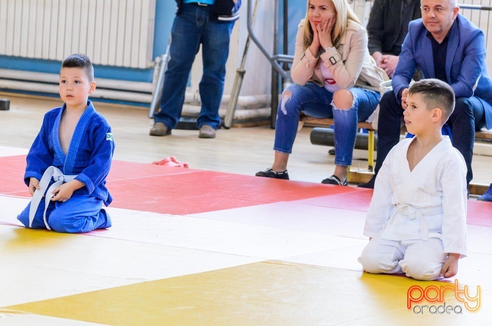 Micii judoka la Examen de Mon, Liceul cu Program Sportiv