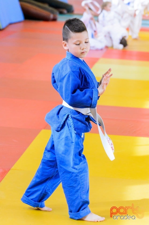 Micii judoka la Examen de Mon, Liceul cu Program Sportiv