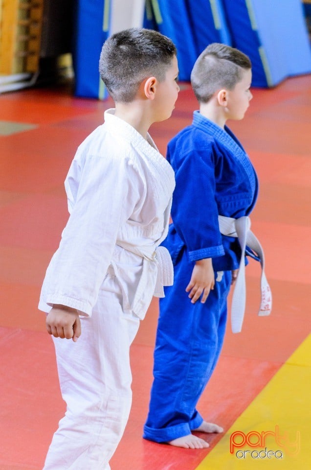 Micii judoka la Examen de Mon, Liceul cu Program Sportiv