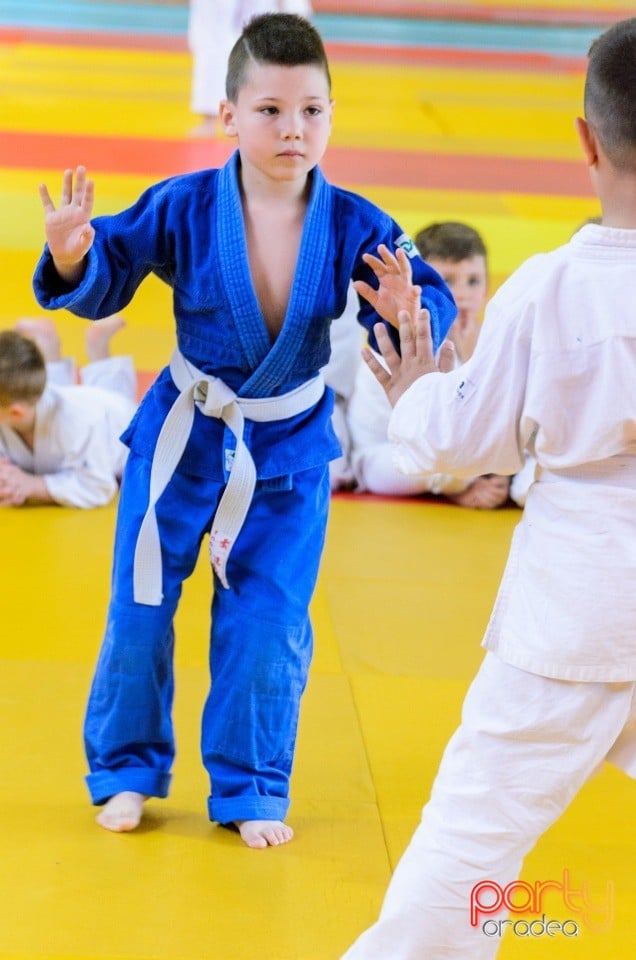 Micii judoka la Examen de Mon, Liceul cu Program Sportiv