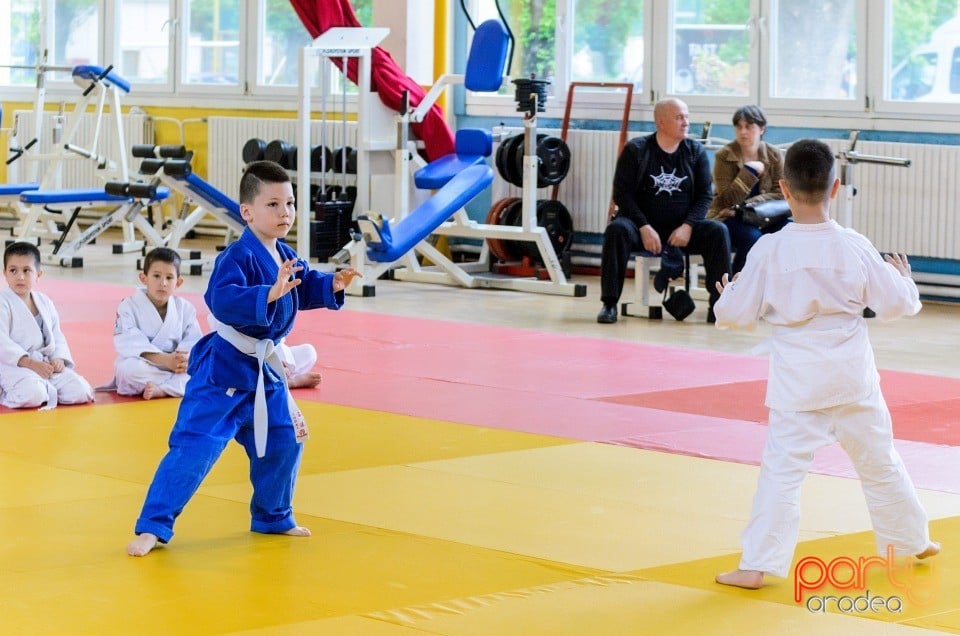 Micii judoka la Examen de Mon, Liceul cu Program Sportiv