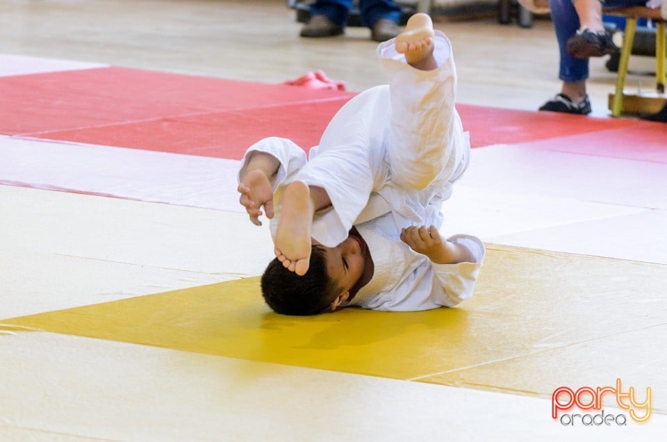 Micii judoka la Examen de Mon, Liceul cu Program Sportiv