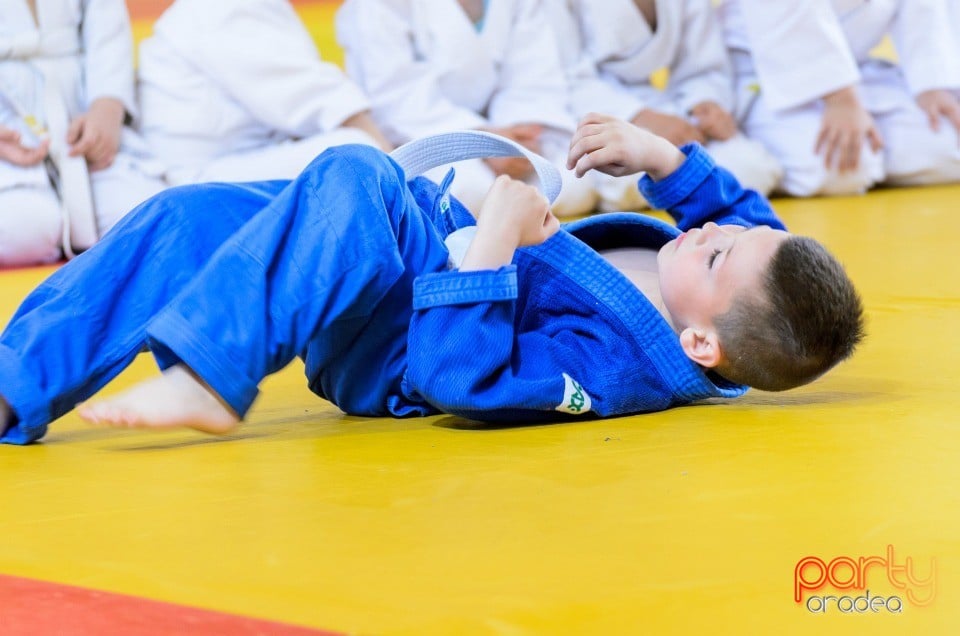 Micii judoka la Examen de Mon, Liceul cu Program Sportiv