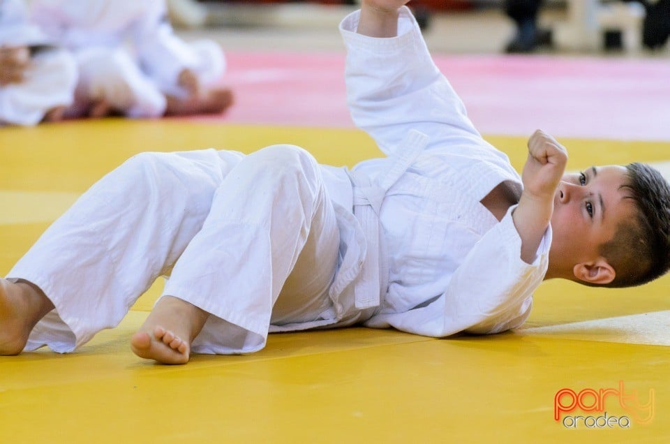 Micii judoka la Examen de Mon, Liceul cu Program Sportiv