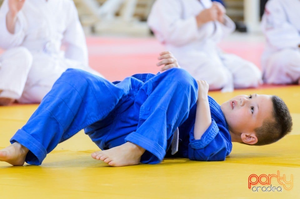 Micii judoka la Examen de Mon, Liceul cu Program Sportiv