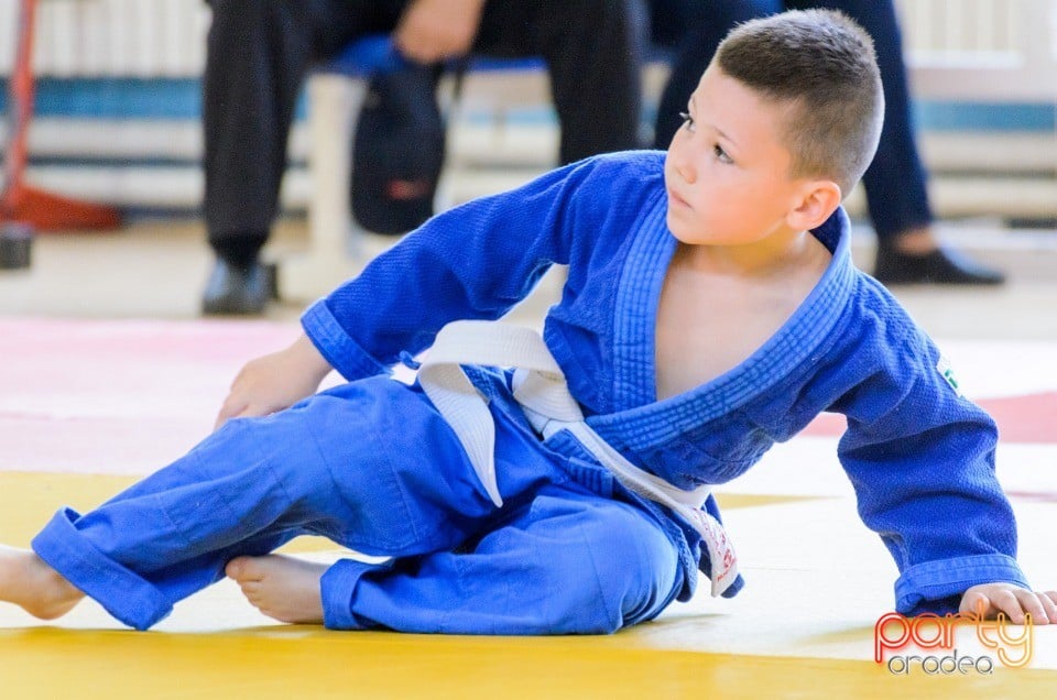 Micii judoka la Examen de Mon, Liceul cu Program Sportiv