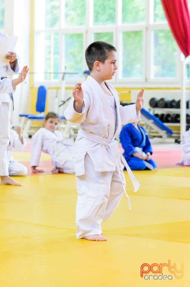 Micii judoka la Examen de Mon, Liceul cu Program Sportiv