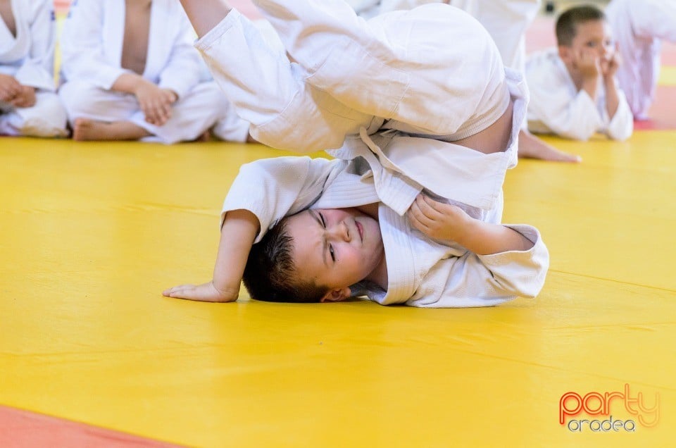 Micii judoka la Examen de Mon, Liceul cu Program Sportiv