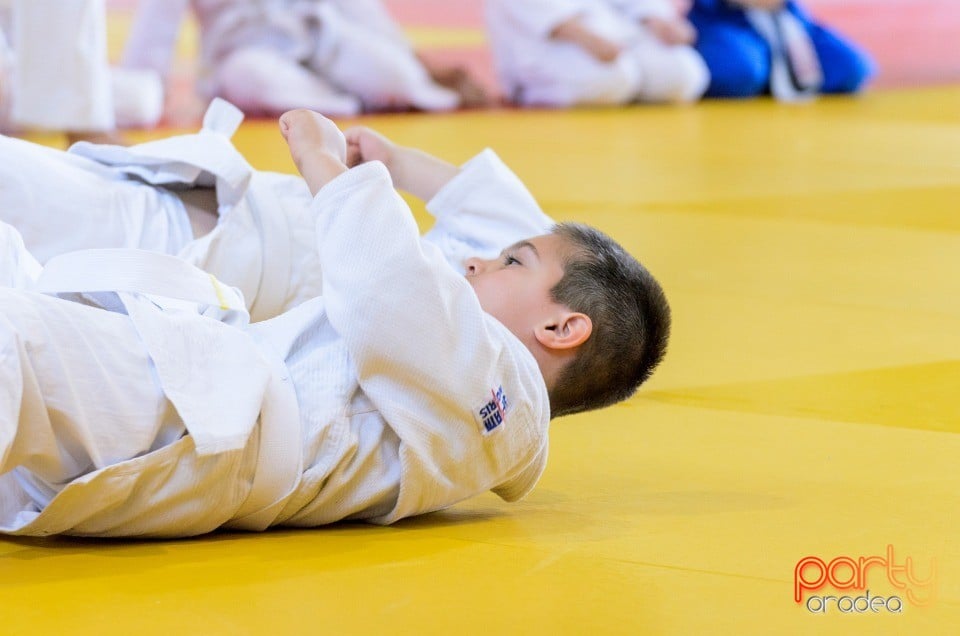 Micii judoka la Examen de Mon, Liceul cu Program Sportiv