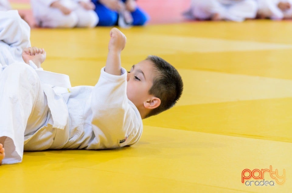 Micii judoka la Examen de Mon, Liceul cu Program Sportiv