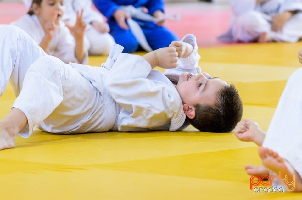 Micii judoka la Examen de Mon, Liceul cu Program Sportiv