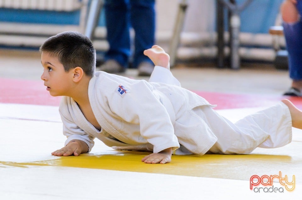 Micii judoka la Examen de Mon, Liceul cu Program Sportiv