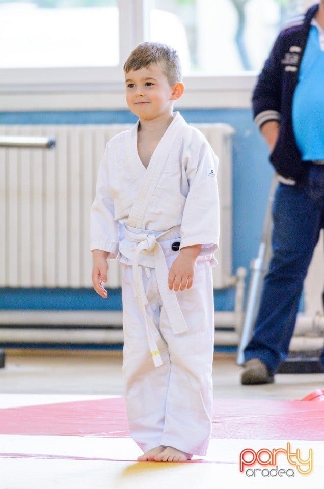 Micii judoka la Examen de Mon, Liceul cu Program Sportiv