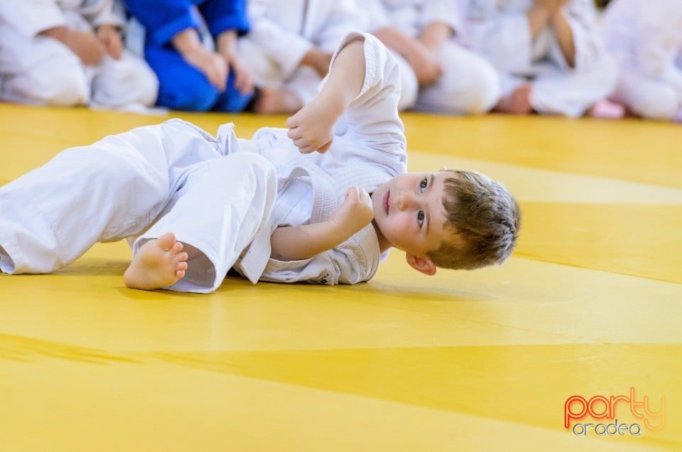 Micii judoka la Examen de Mon, Liceul cu Program Sportiv