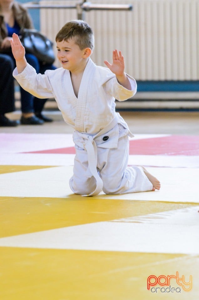 Micii judoka la Examen de Mon, Liceul cu Program Sportiv