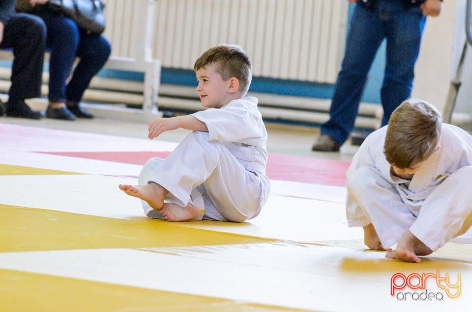 Micii judoka la Examen de Mon, Liceul cu Program Sportiv