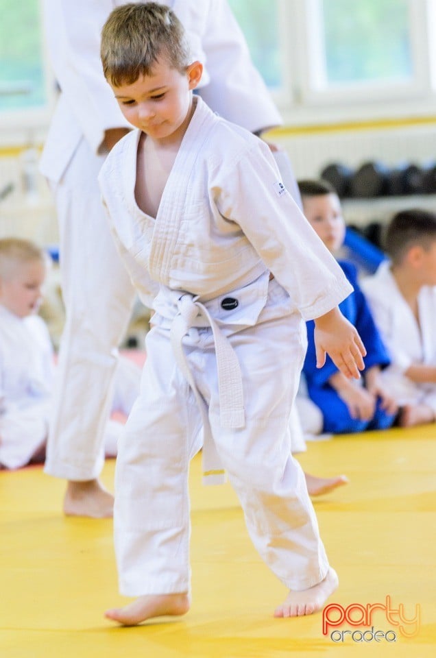 Micii judoka la Examen de Mon, Liceul cu Program Sportiv