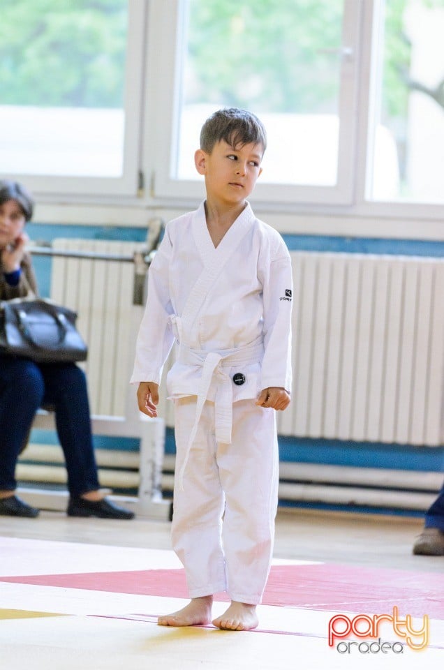 Micii judoka la Examen de Mon, Liceul cu Program Sportiv