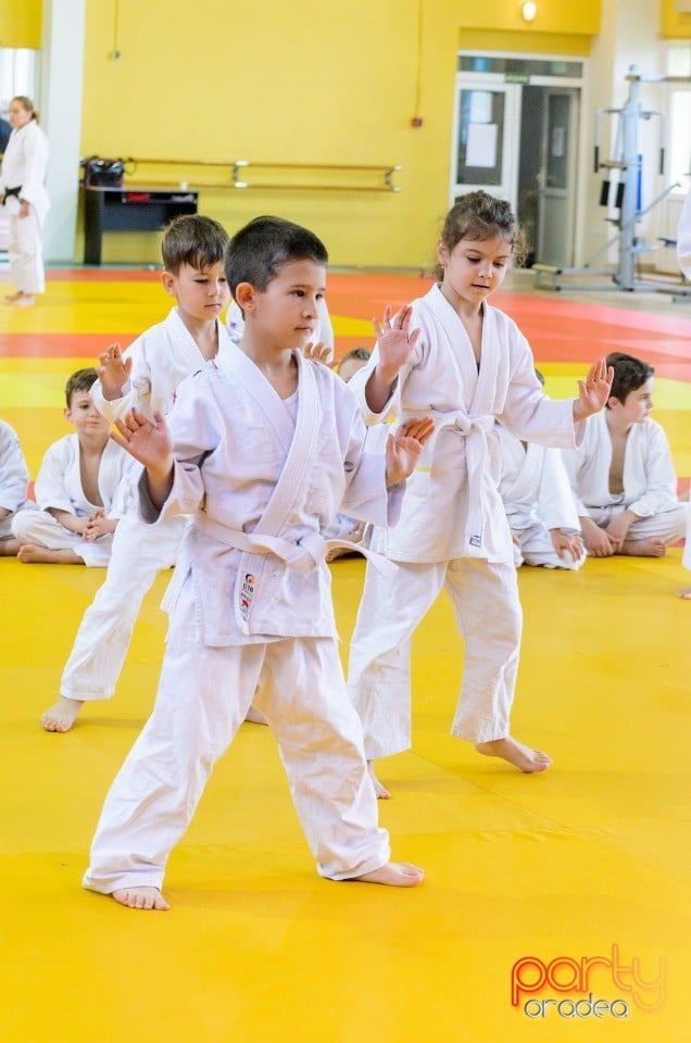 Micii judoka la Examen de Mon, Liceul cu Program Sportiv