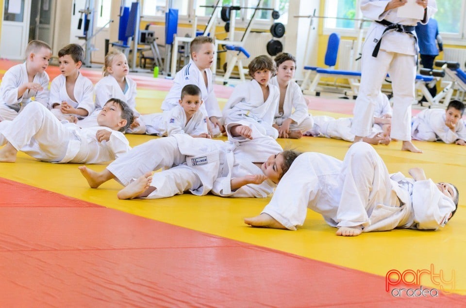 Micii judoka la Examen de Mon, Liceul cu Program Sportiv